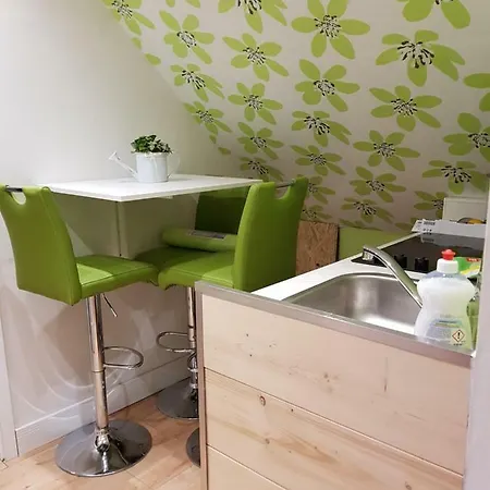 公寓 Zucht- Und Ausbildungsstall Rubly Kleinbundenbach