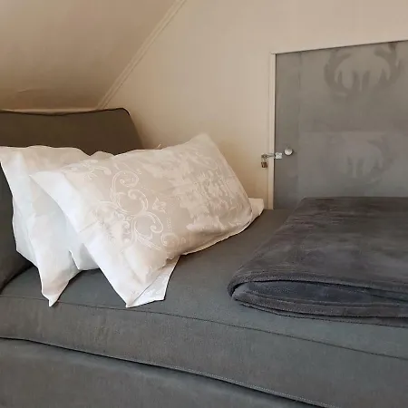 Zucht- Und Ausbildungsstall Rubly Appartamento