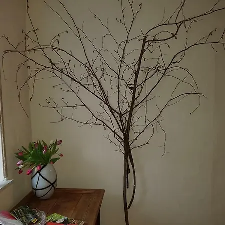 Zucht- Und Ausbildungsstall Rubly Kleinbundenbach