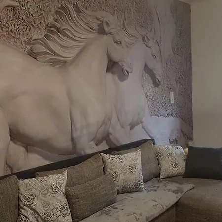 Zucht- Und Ausbildungsstall Rubly *