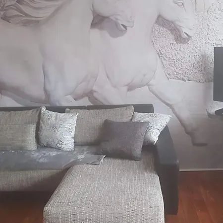 Zucht- Und Ausbildungsstall Rubly * Kleinbundenbach