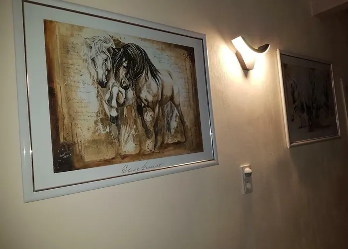 Zucht- Und Ausbildungsstall Rubly * Kleinbundenbach