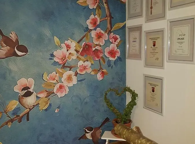 Zucht- Und Ausbildungsstall Rubly * Kleinbundenbach