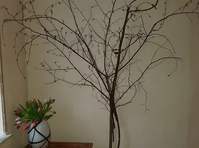 Zucht- Und Ausbildungsstall Rubly Kleinbundenbach