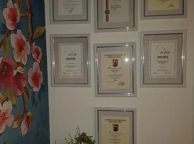 Zucht- Und Ausbildungsstall Rubly *